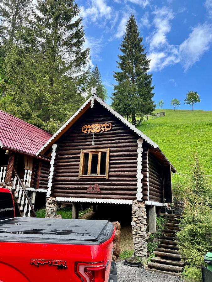 Villa U Tsimborky Synevyrsʼka Polyana Exterior foto