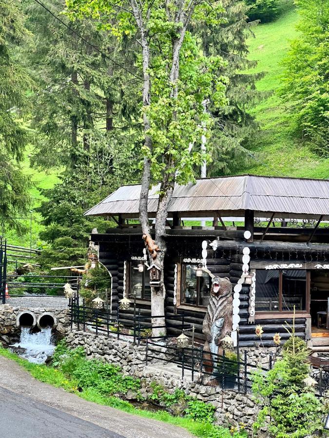 Villa U Tsimborky Synevyrsʼka Polyana Exterior foto