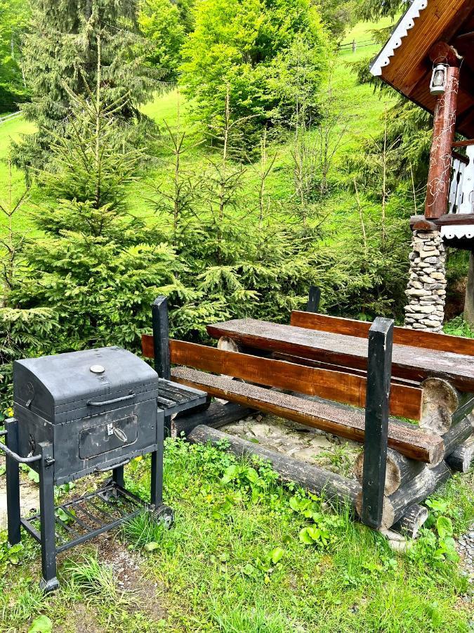 Villa U Tsimborky Synevyrsʼka Polyana Exterior foto